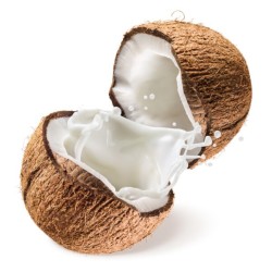 Coconut- Each Piece