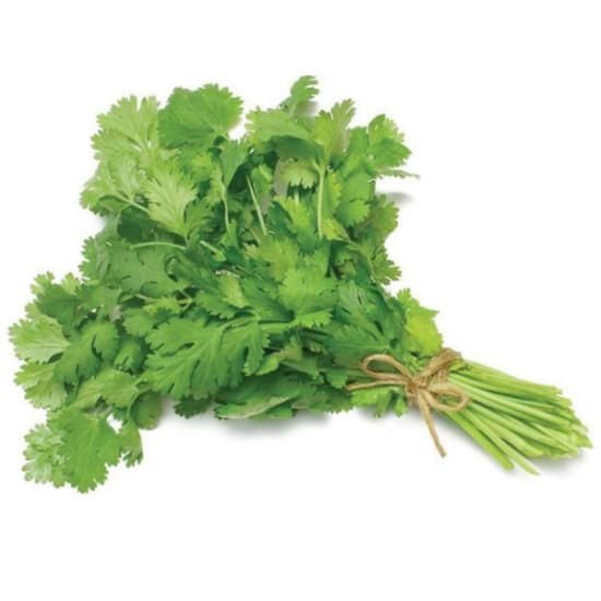 Fresh Coriander / Dhania – 1 Bunch