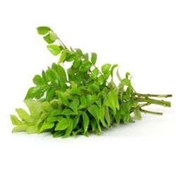 Curry Leaves ( Meethi Neem)