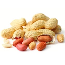 Fresh Groundnut-500g