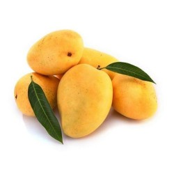 Kesar Mango Big Box