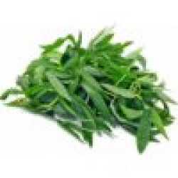 Ponnanganni Spinach (Sessile Joyweed)