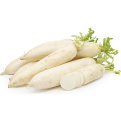 Radish- 1 Piece