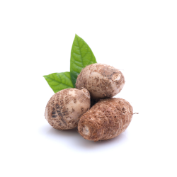 Taro Roots-500g