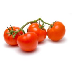 Vine Tomatoes-500g