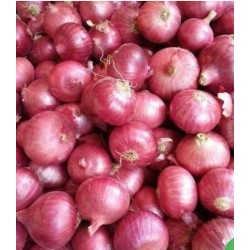 Shallot Onion-250g