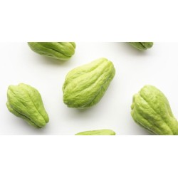 Chayote – 1 Piece