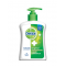 Dettol Liquid 250g