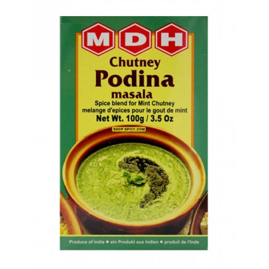 MDH Chutney Podina Masala 100g